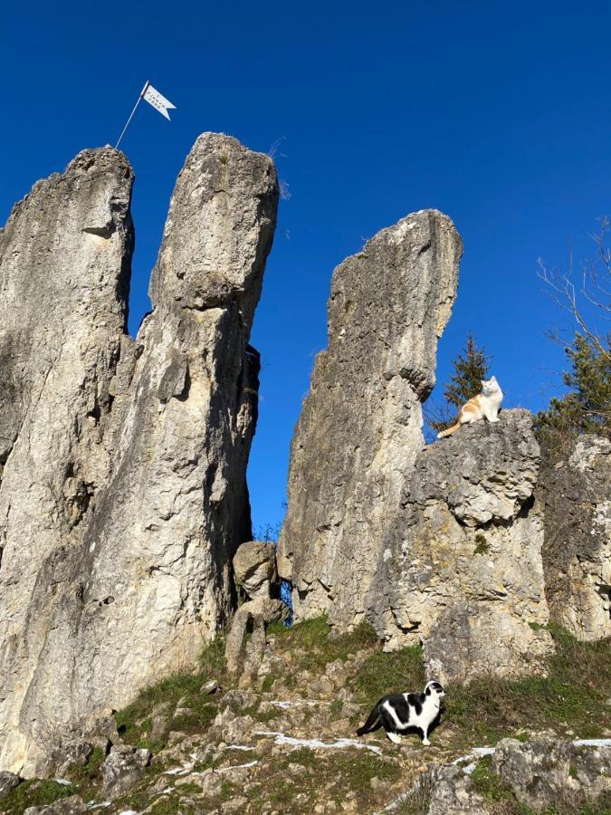 Gasthof Zur Saegemuehle Daire Hiltpoltstein Dış mekan fotoğraf