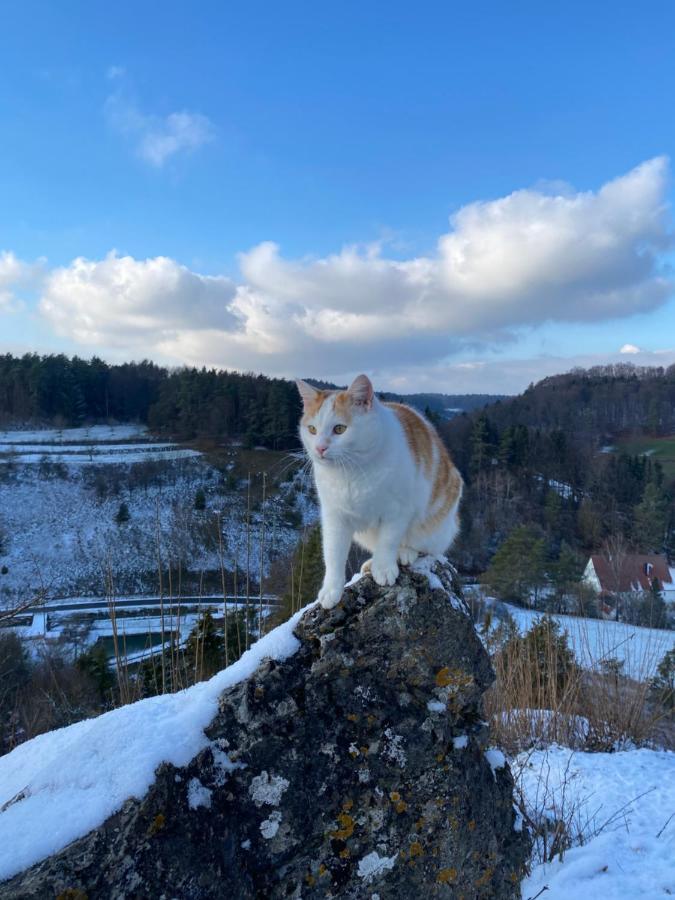 Gasthof Zur Saegemuehle Daire Hiltpoltstein Dış mekan fotoğraf