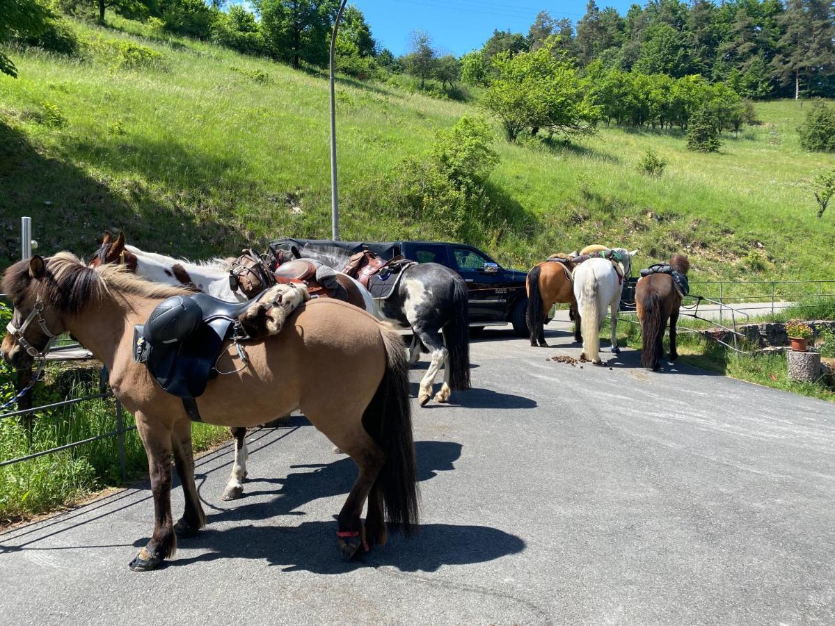 Gasthof Zur Sagemuhle Daire Hiltpoltstein Dış mekan fotoğraf