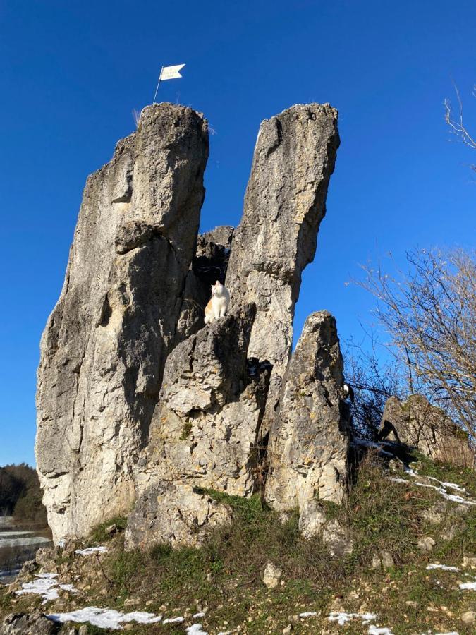 Gasthof Zur Saegemuehle Daire Hiltpoltstein Dış mekan fotoğraf