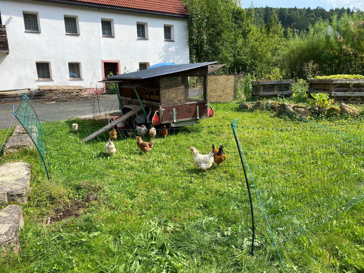 Gasthof Zur Saegemuehle Daire Hiltpoltstein Dış mekan fotoğraf